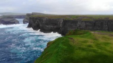 Kilkee İrlandalı Batı sahilinde kayalıkları üzerinde güzel uçuş