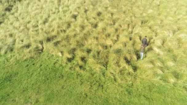 Twee mensen lopen door het hoge gras land van Ierland — Stockvideo