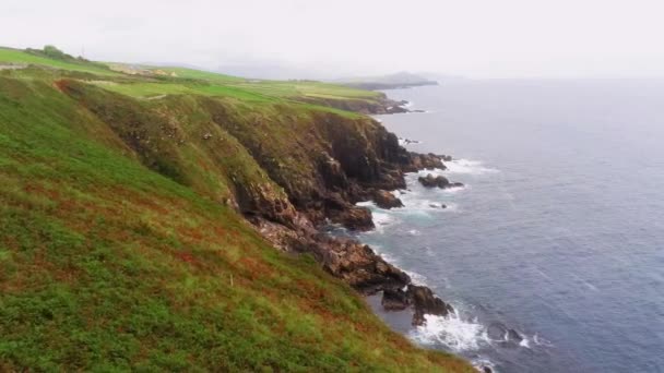 De prachtige groene natuur van Dingle schiereiland in Ierland — Stockvideo