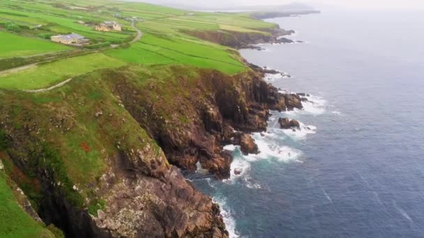 Die atemberaubende Küste der Dingle-Halbinsel mit ihren grünen Grasfeldern — Stockvideo