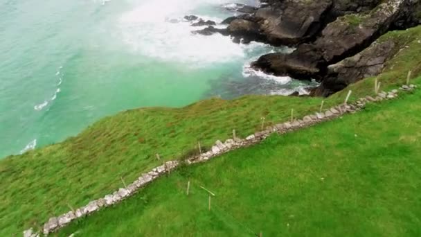 La hierba verde y la costa rocosa de la península de Dingle en Irlanda — Vídeo de stock