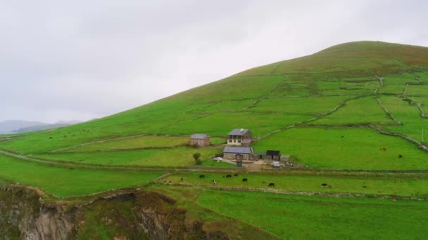 Voo sobre a paisagem típica da Irlanda — Vídeo de Stock