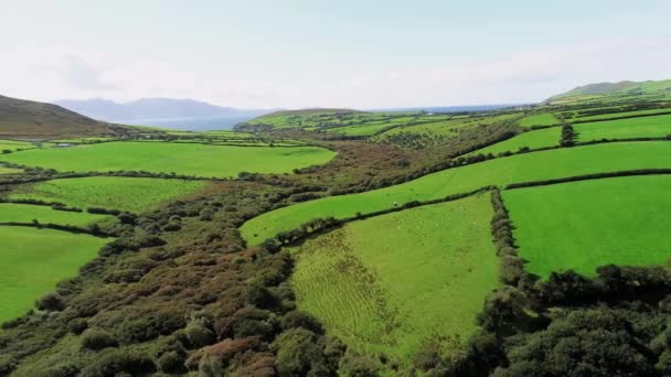 在阳光明媚的日子, 在典型的爱尔兰风景上飞行 — 图库视频影像