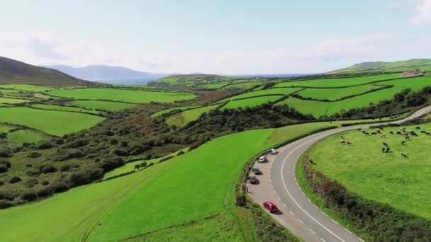 Flyg över typiska landskapet i Irland — Stockvideo