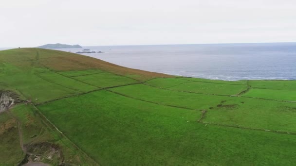 Vuelo sobre los pastizales típicos de Irlanda — Vídeo de stock