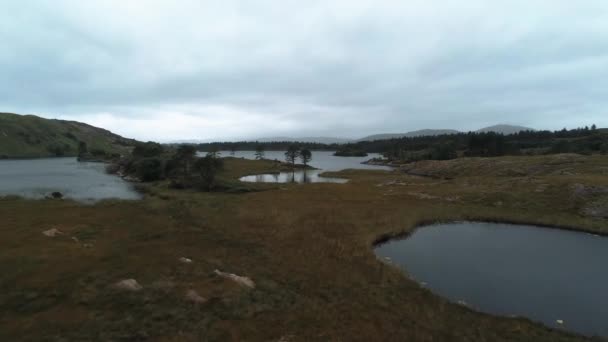 Flug über einen schönen Park in Irland — Stockvideo