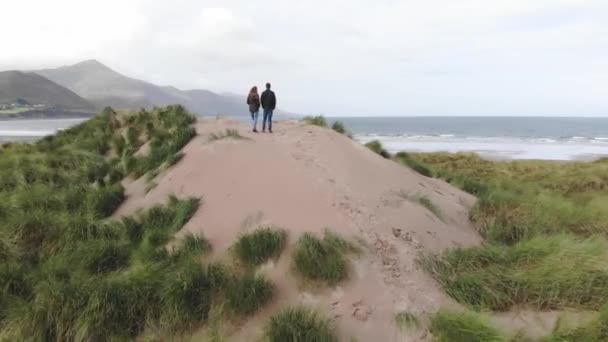 Kum tepeleri ve İrlandalı sahilinde çim alanlar üzerinde uçuş — Stok video