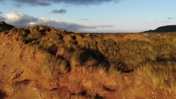 Vlucht over een jong koppel zittend op de met gras begroeide heuvels bij zonsondergang — Stockvideo