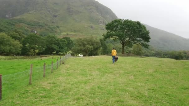 Два друга прогуливаются по типичным ирландским пейзажам с травянистыми овцами — стоковое видео