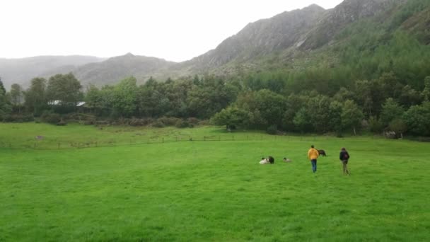 Pasangan muda berjalan di atas padang rumput hijau di Irlandia — Stok Video