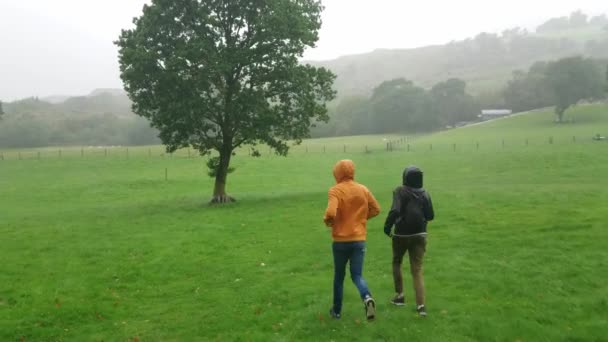 Dos amigos buscan refugio de la lluvia bajo un árbol — Vídeo de stock