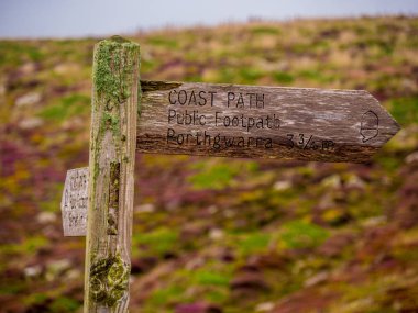 Coast Path at Lands End Cornwall clipart