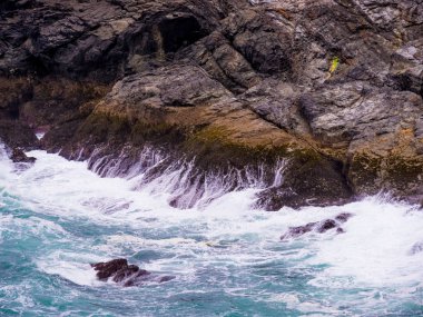 Yabani su Cornwall İngiltere'de Celtic Denizi