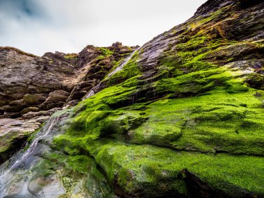 Güzel şelale Cornwall Tintagel Cove yosunlu taşlar üzerinde