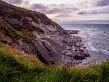 Güzel kayalıklarla ve sahil şeridi Crackington cenneti Cornwall