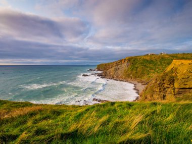 Crackington Haven Cornwall beach