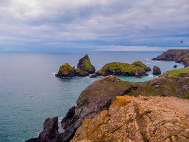 Kayalık ve güzel sahil, Kynance Koyu'nda Cornwall