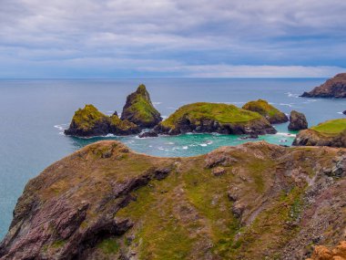 Kayalık ve güzel sahil, Kynance Koyu'nda Cornwall