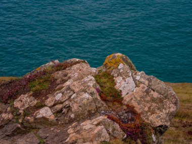 Kayalık ve güzel sahil, Kynance Koyu'nda Cornwall