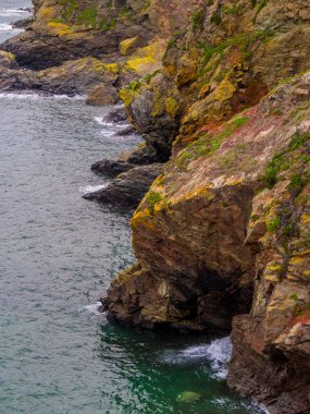 Milli güven - Cornwall İngiltere'nin güney noktasında kertenkele