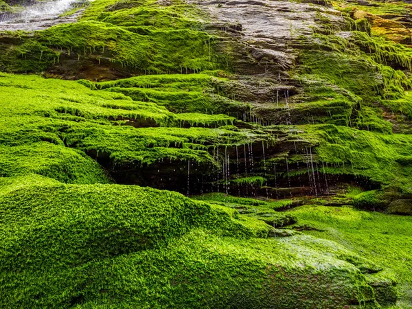 Mossy rotsen en waterval aan de Cove van Tintagel in Cornwall — Stockfoto