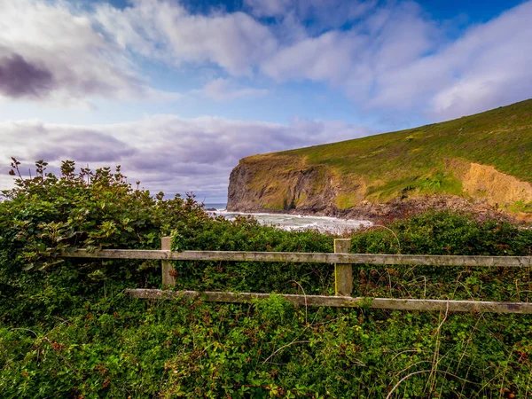 Belas falésias e litoral de Crackington Haven Cornwall — Fotografia de Stock