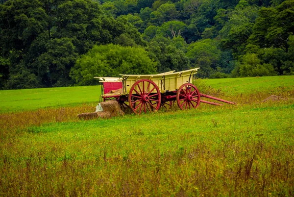 Oude vervoer op een veld — Stockfoto