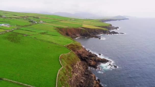 De prachtige kustlijn van Dingle schiereiland aan de westkust van Ierland — Stockvideo