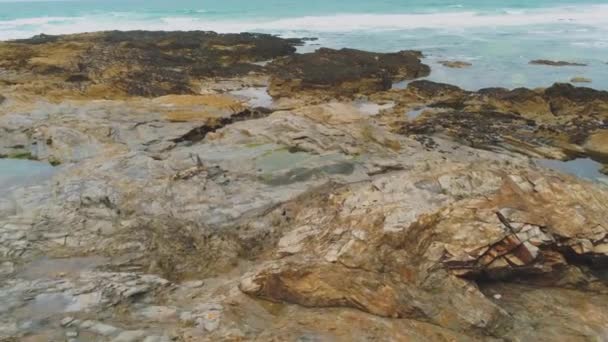 셀 틱 바다-공중 무인 항공기 비행에서 콘월의 해 안에의 멋진 풍경 — 비디오