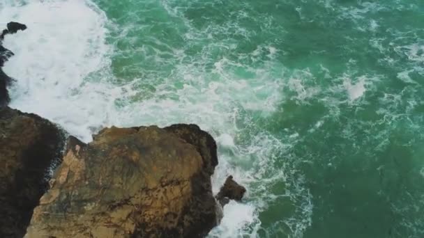 在海浪上空上空的野生海水 — 图库视频影像