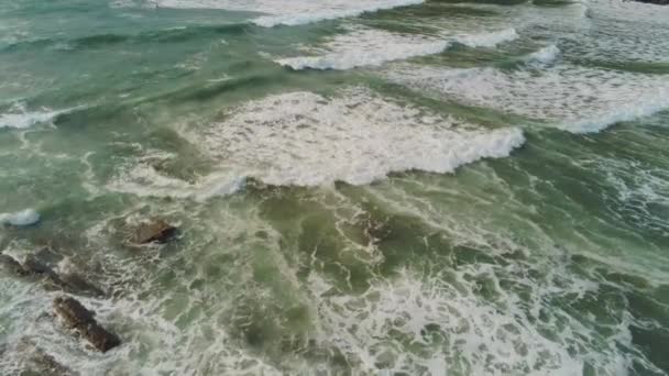 上方から野生の海洋水便波 — ストック動画
