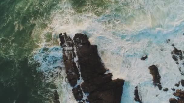 Imagens de voo impressionantes sobre a água do oceano selvagem — Vídeo de Stock