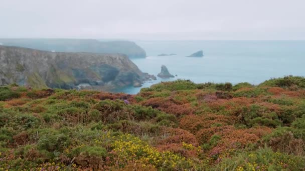 Cornwall İngiltere'de Portreath Cornish sahilde — Stok video