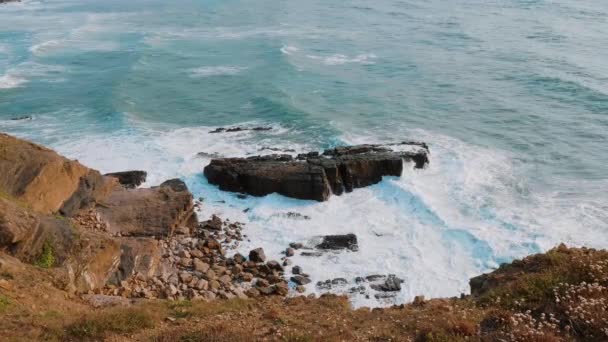 Pięknymi klifami i wybrzeża Crackington Haven Cornwall — Wideo stockowe