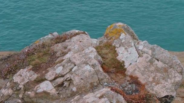 Cornwall Anglie - výhled úžasný parkovistě na pobřeží — Stock video