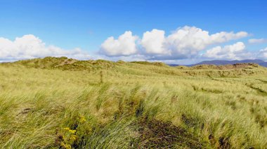 İrlandalı sahilinde meralar üzerinde düşük havadan görünümü