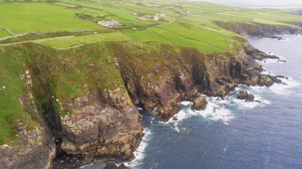 La côte impressionnante de la péninsule de Dingle avec ses champs d'herbe verte — Photo