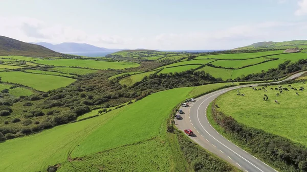 アイルランドの典型的な風景を空撮 — ストック写真