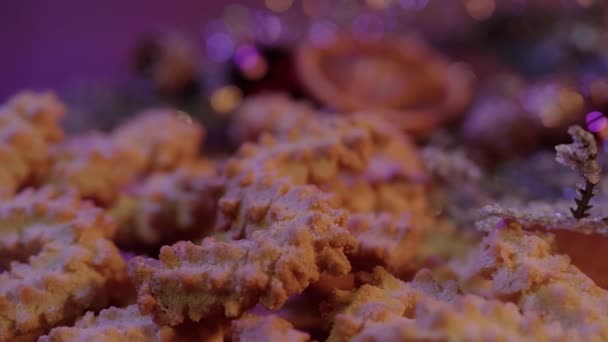 Close up shot of Christmas cookies in beautiful decoration — Stock Video