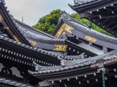 Kamakura 'daki Hase-Dera Tapınağının güzel çatıları