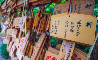 Japonya'da bir Budist tapınağında ahşap plakalar üzerinde yazılı dilek
