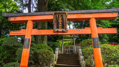 Nezu tapınak - Tokyo Bunkyo ünlü Shinto tapınağı için giriş kapısı