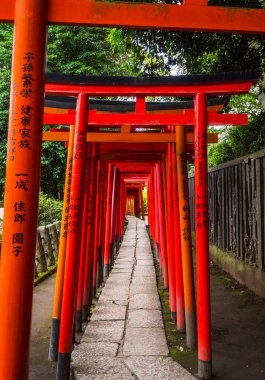 Nezu Jinja Tapınağı - Tokyo Bunkyo 'daki ünlü Shinto Tapınağı
