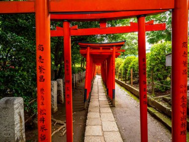 Nezu Jinja Tapınağı - Tokyo Bunkyo 'daki ünlü Shinto Tapınağı