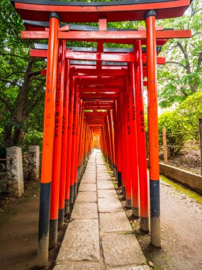 Tokyo 'daki Nezu Jinja Tapınağı' nda kırmızı kapılarla kaplı etkileyici bir yol.