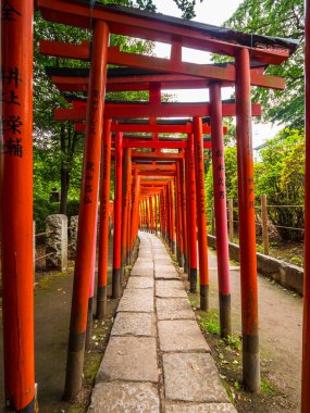 Nezu Jinja tapınak Tokyo ünlü kırmızı kapı yolu