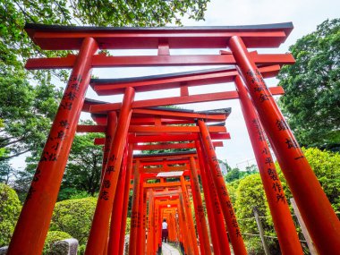 Nezu Jinja Tapınağı - Tokyo Bunkyo 'daki ünlü Shinto Tapınağı