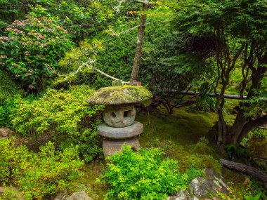 Kamakura güzel küçük Japon Bahçesi
