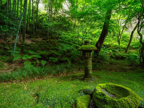 Bellissimo piccolo giardino giapponese a Kamakura — Foto Stock