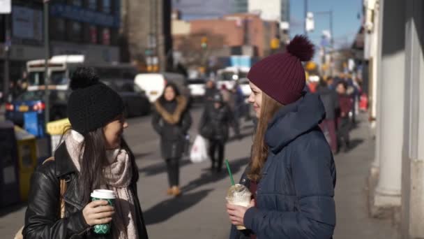 Två flickor på gatorna i New York på en solig dag — Stockvideo